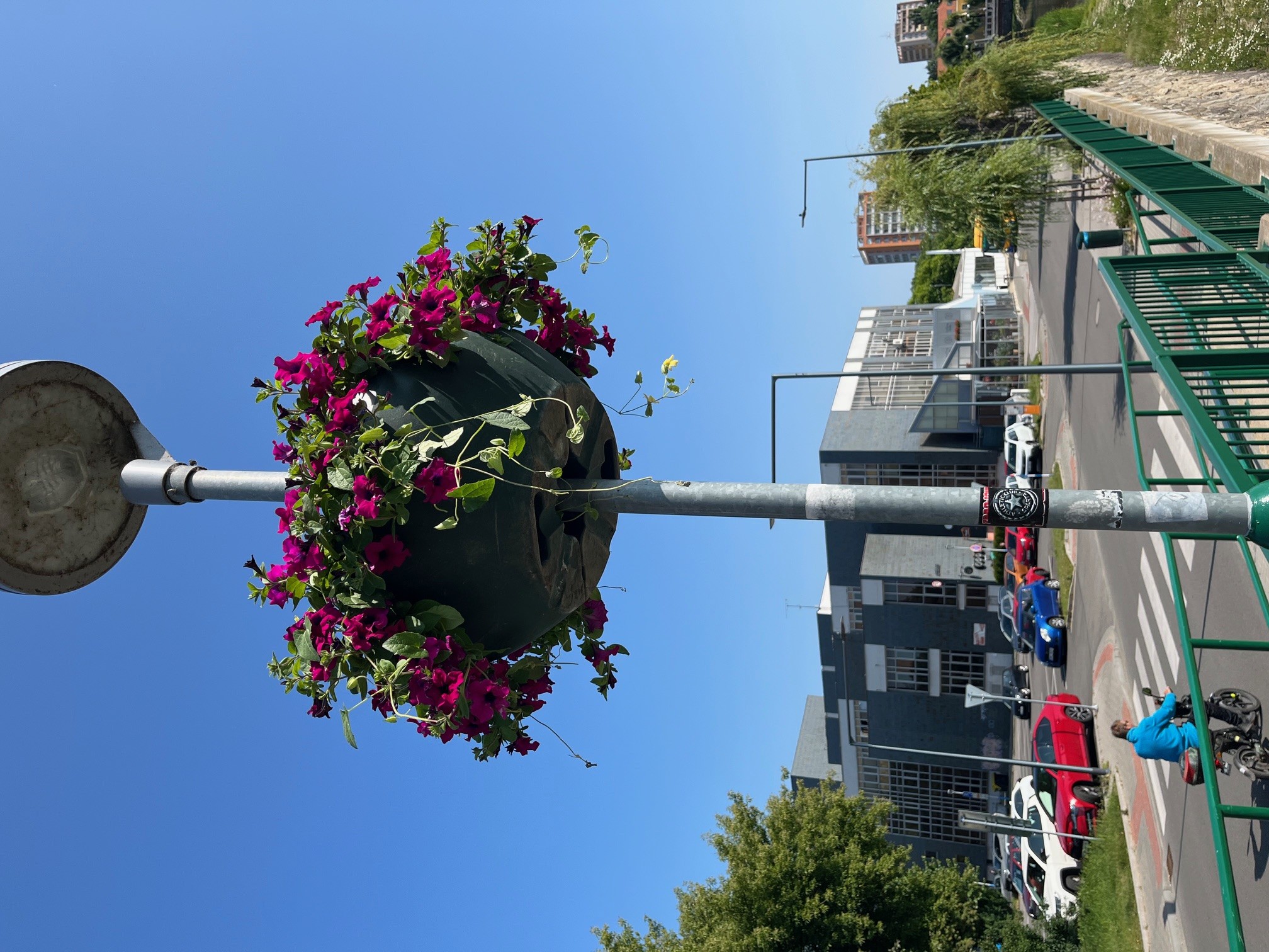 Fotografie 118